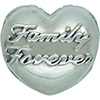 PANDORA Family Union Fixed Clip PANDORA Family Union Fixed Clip